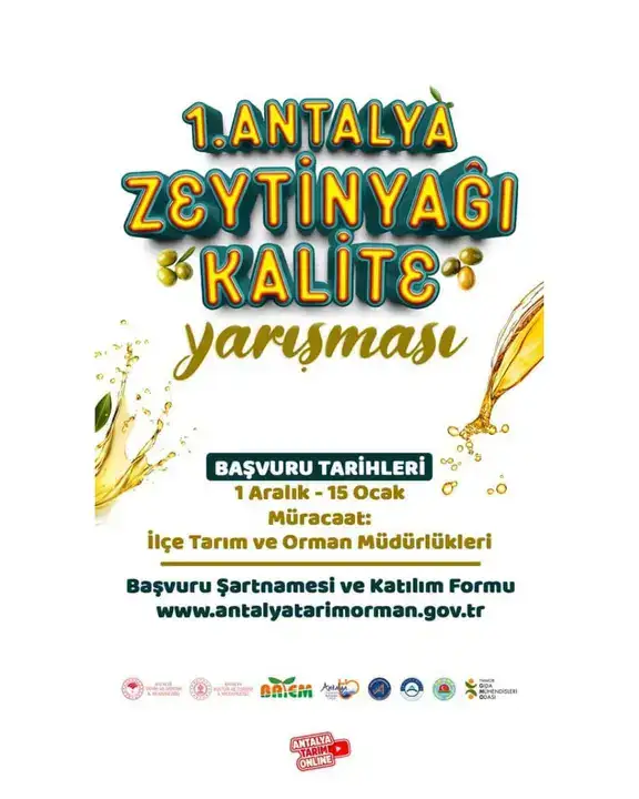 Antalya’da Zeytin Dalından Sofraya Zeytinyağı Kalite Rehberi 7